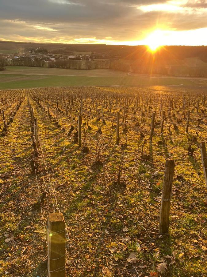 فيلا Nuit'S Feerique En Champagne Meurville المظهر الخارجي الصورة
