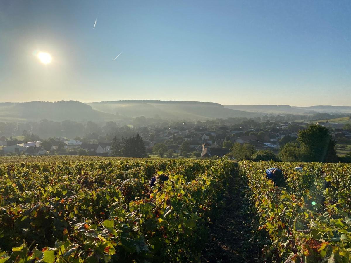 فيلا Nuit'S Feerique En Champagne Meurville المظهر الخارجي الصورة