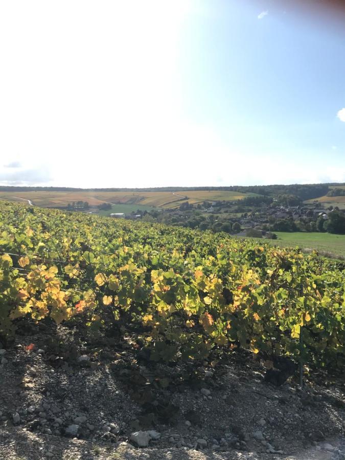 فيلا Nuit'S Feerique En Champagne Meurville المظهر الخارجي الصورة