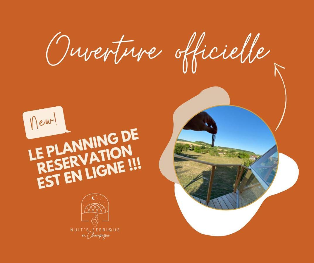 فيلا Nuit'S Feerique En Champagne Meurville المظهر الخارجي الصورة